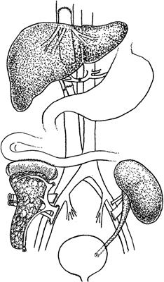 A 14-Year Follow-Up of a Combined Liver-Pancreas-Kidney Transplantation: Case Report and Literature Review